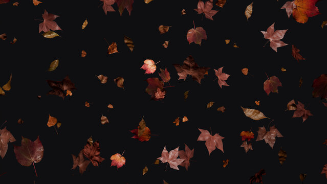 Fall themed Background, with Leaves against Black Color. Seasonal Banner with copy-space.