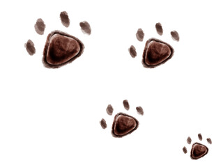 Animal footprints