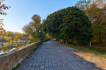 Autumn, morning road