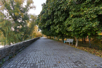 Autumn, morning road