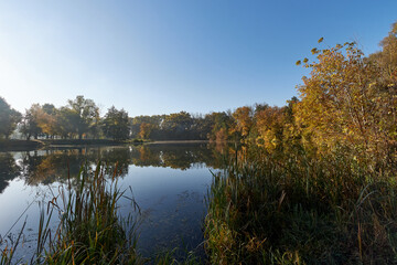 Autumn Rechka Psel - will be an excellent gadget screensaver