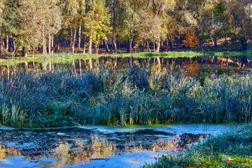Autumn Rechka Psel - will be an excellent gadget screensaver