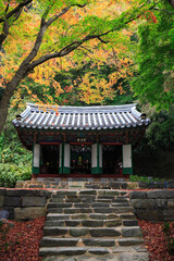 Obraz premium 대한민국 전라북도 고창 선운사