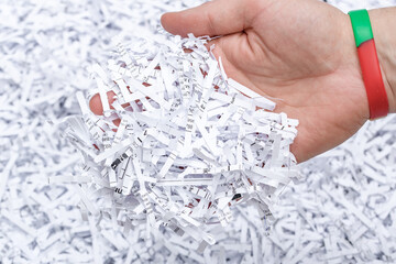 Zniszczone dokumenty firmowe trzymane w ręce, wiórki papierowe z niszczarki - obrazy, fototapety, plakaty