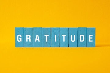 Gratitude - word concept on building blocks