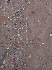 Sandy beach with different stones