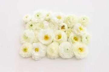 Obraz na płótnie Canvas Top view image of white flowers composition