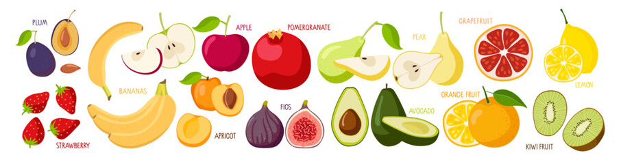 Fruits and berries. Fresh Natural organic food for logo, menu, banner, farm product design, market label, vegetarian shop, holiday greeting card and invitation, summer parties. Ingredients for cooking