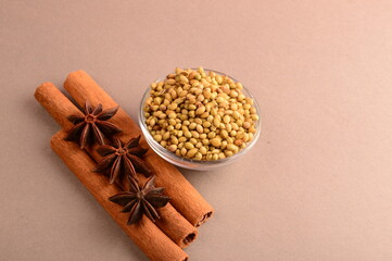 Cinnamon stick and star anise spice.