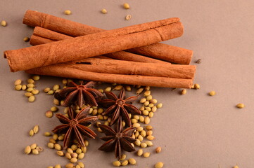Cinnamon stick and star anise spice.