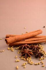 Cinnamon stick and star anise spice.