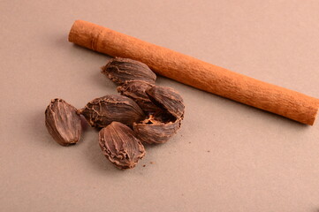 Cinnamon stick and star anise spice.