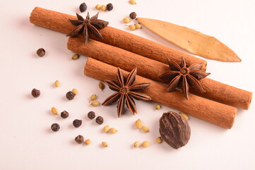 Cinnamon stick and star anise spice.