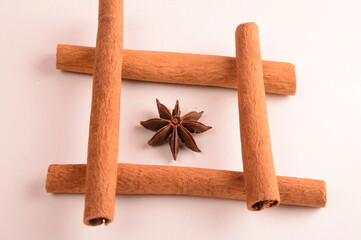 Cinnamon stick and star anise spice.