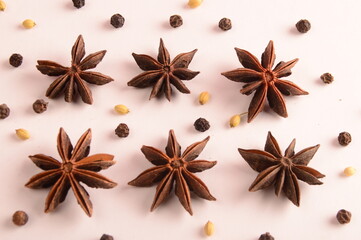 Cinnamon stick and star anise spice.