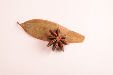 Cinnamon stick and star anise spice.