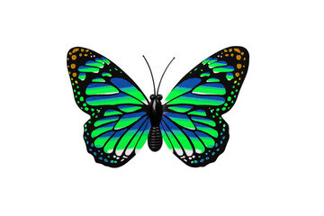 Green and blue butterfly isolated on transparent background top view. Multi colored butterfly as an element for design