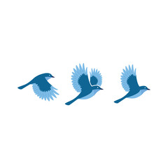 Blue birds flying on white background