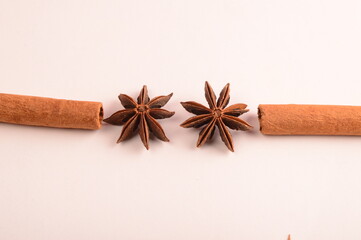 Cinnamon stick and star anise spice.
