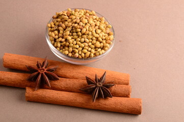 Cinnamon stick and star anise spice.