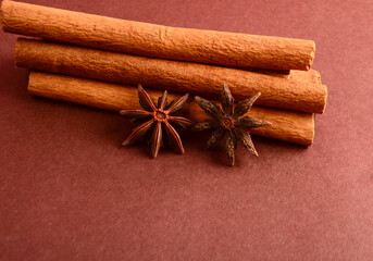 Cinnamon stick and star anise spice.