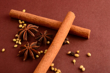 Cinnamon stick and star anise spice.