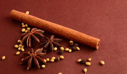 Cinnamon stick and star anise spice.