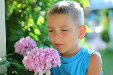 A boy smells flowers. Life without allergies. Allergy treatment