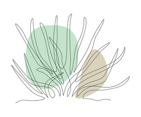 abstract aloe plant, Algae or Grass Continuous One Line Drawing