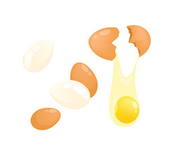 Concept Cooking eggs. The illustration features a set of eggs on a white background designed in a flat, vector style with a cartoon concept. Vector illustration.
