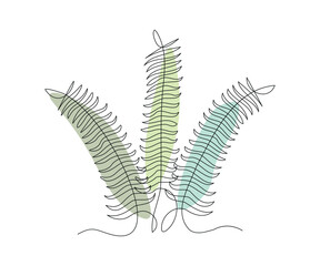 abstract plant fern, algae or Grass Continuous One Line Drawing