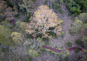 Aerial landscape photography