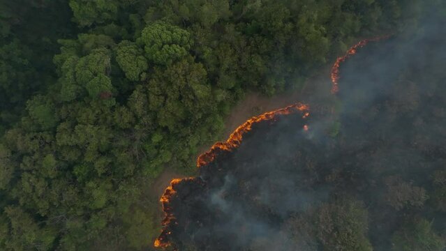 Straight down drone shot of smoke from a forest fire on an island with the flames visable