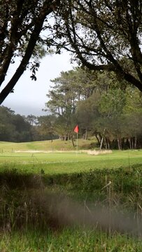 Slow panning vertical shot of red flag on green of golf course between trees in summer