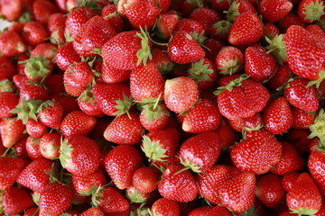 Strawberry from farm