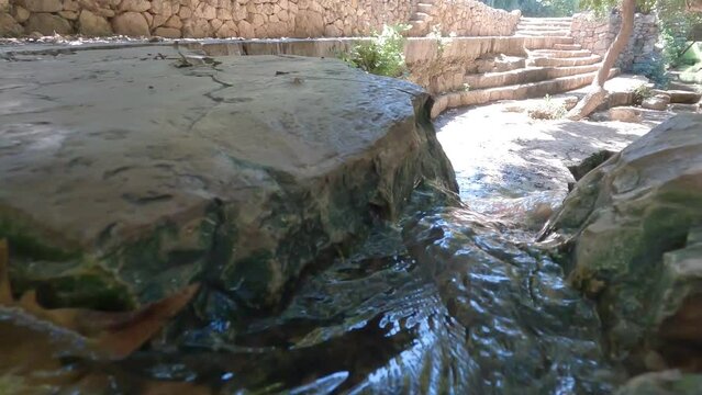 A fall leaf flows in a stream, in the Ein Hamad nature reserve at the entrance to the city of Jerusalem