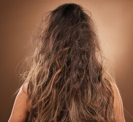Back, hair and frizzy with a woman in studio on a brown background for haircare or salon treatment. Repair, damaged and messy with a female at the hairdresser for keratin restoration or remedy - obrazy, fototapety, plakaty