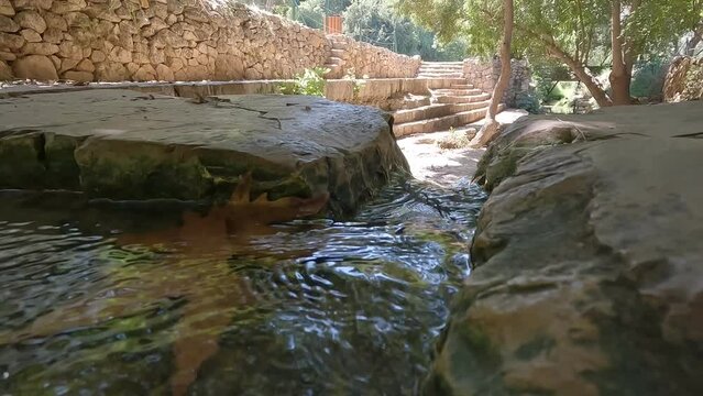 A fall leaf flows in a stream, in the Ein Hamad nature reserve at the entrance to the city of Jerusalem