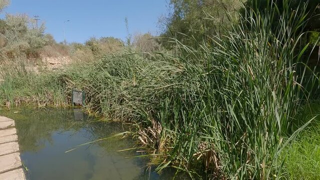 A beautiful stream of flowing water in the Ein Hamad nature reserve in Jerusalem - Israel