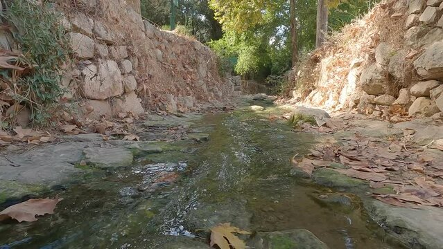 A beautiful stream of flowing water in the Ein Hamad nature reserve in Jerusalem - Israel