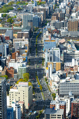 Fototapeta premium 大阪の谷町筋と街並み