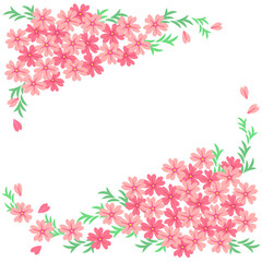 Fototapeta na wymiar 華やかなピンクの芝桜のフレーム