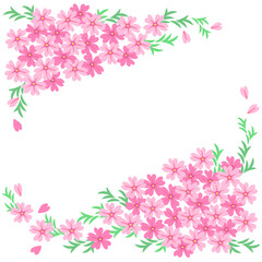 華やかなピンクの芝桜のフレーム