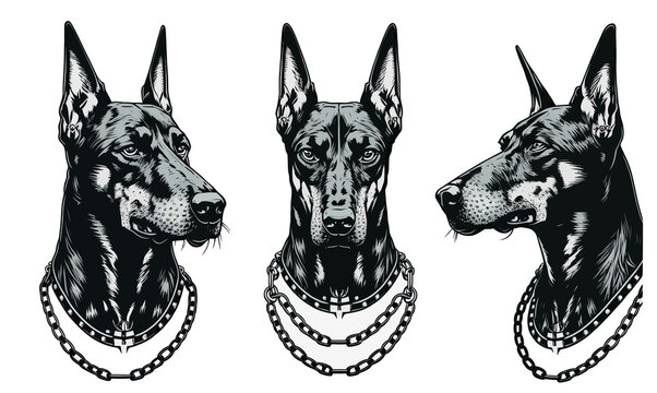 The dog is a Doberman. Dog with a spiked collar and chain, crown. Isolated on background. Generative AI