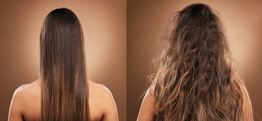 Hair care, beauty and back of woman in studio with shiny, clean and messy dirty hairstyle. Health, self care and model with knots before keratin, brazilian or botox hair treatment by brown background