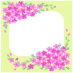 華やかなピンクの芝桜のフレーム