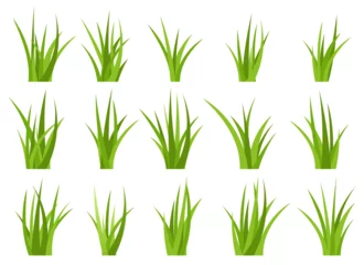 Rollo Green grass vector design illustration isolated on white background © Emil