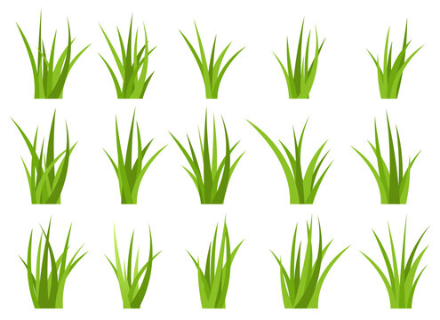 Green grass vector design illustration isolated on white background