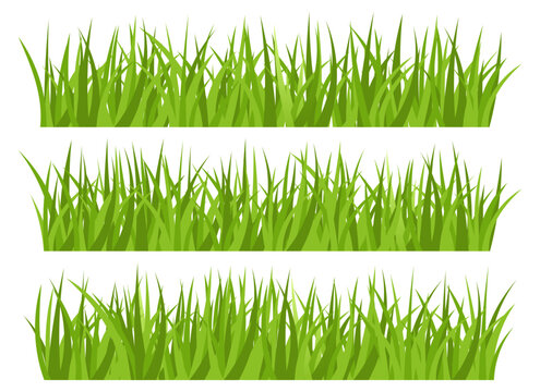 Green grass vector design illustration isolated on white background