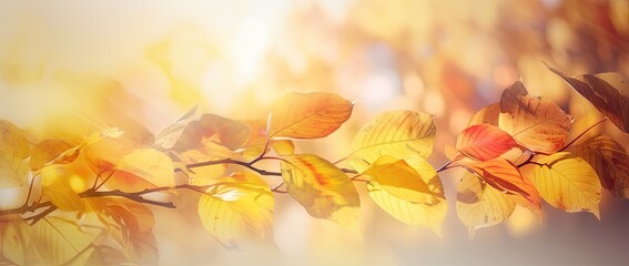 Naklejka na ściany i meble Golden autumn leaves in sunlit sky, perfect. Thanksgiving backdrop with blurred bokeh foliage. Generative AI